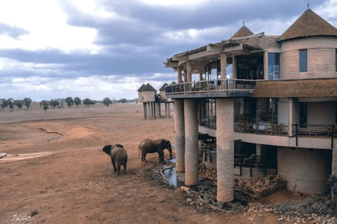 Safari di 3 giorni al Saltlick lodge da NairobiSafari di 3 giorni al lodge Saltlick Da Nairobi