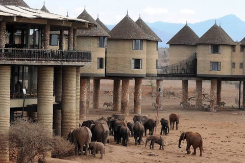 3 Daagse Safari naar Saltlick Lodge vanuit Nairobi3-daagse safari in Saltlick-lodge vanuit Nairobi