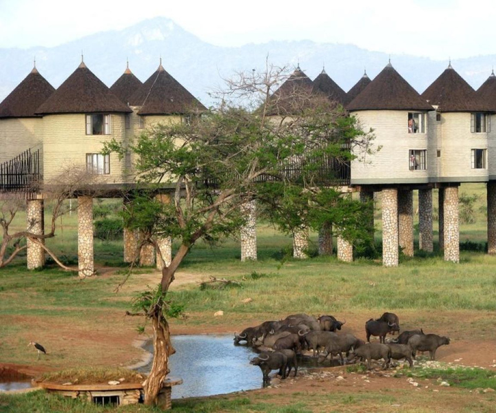 Overnight saltlick Safari from Mombasa
