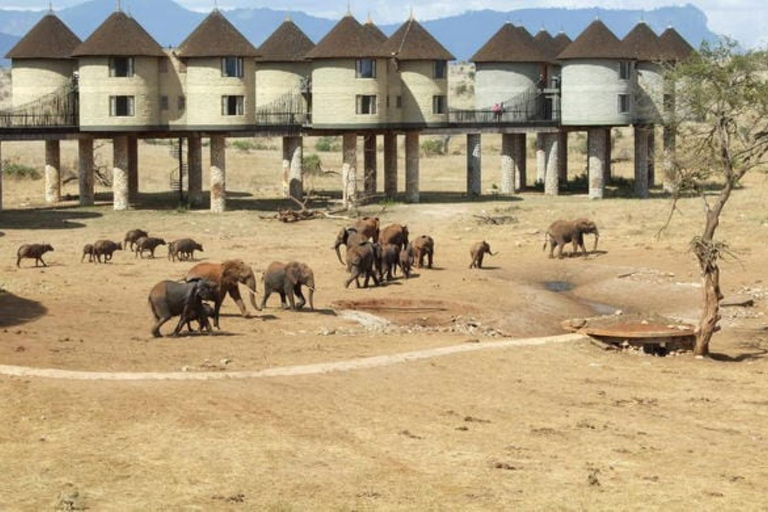 Overnachting zoutliksafari vanuit MombasaOvernachtingszoutliksteen uit Mombasa