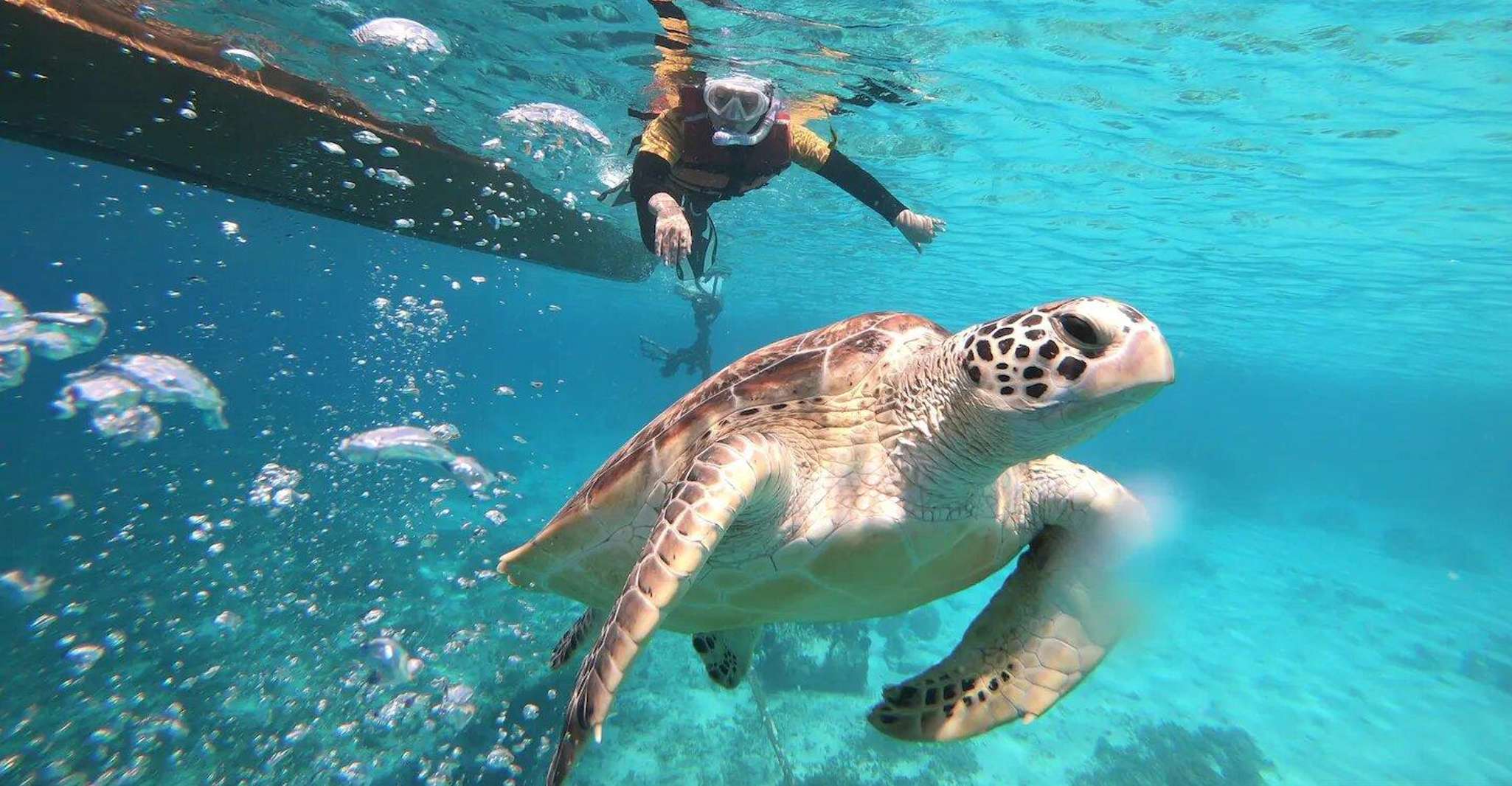 Îles Gili, voyage en bateau de plongée privée ou partagée - Hizvo
