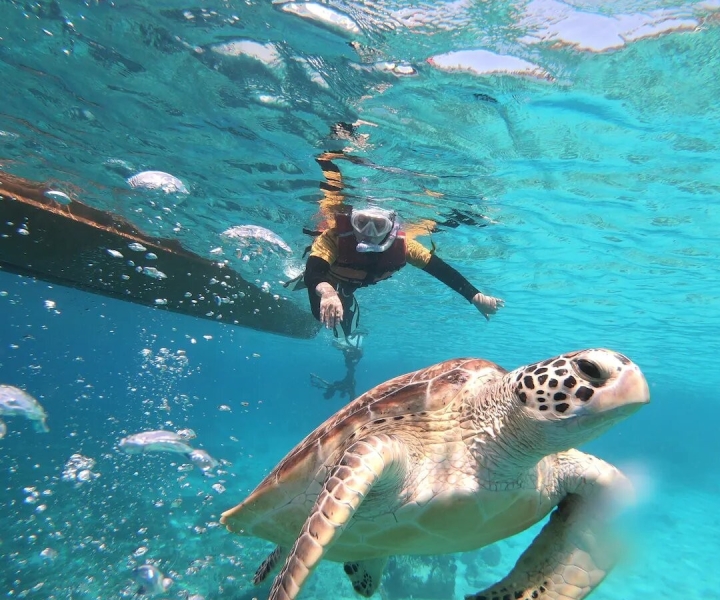 Islas Gili: Excursión de snorkel en barco privada o compartida