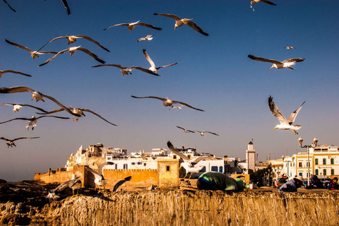 Essaouira Private Day Trip from Marrakech