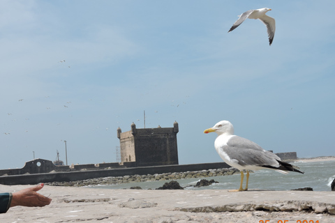 Essaouira Private Day Trip from Marrakech