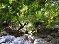 Vlore, le route di roulotte dimenticate in montagna - Housity