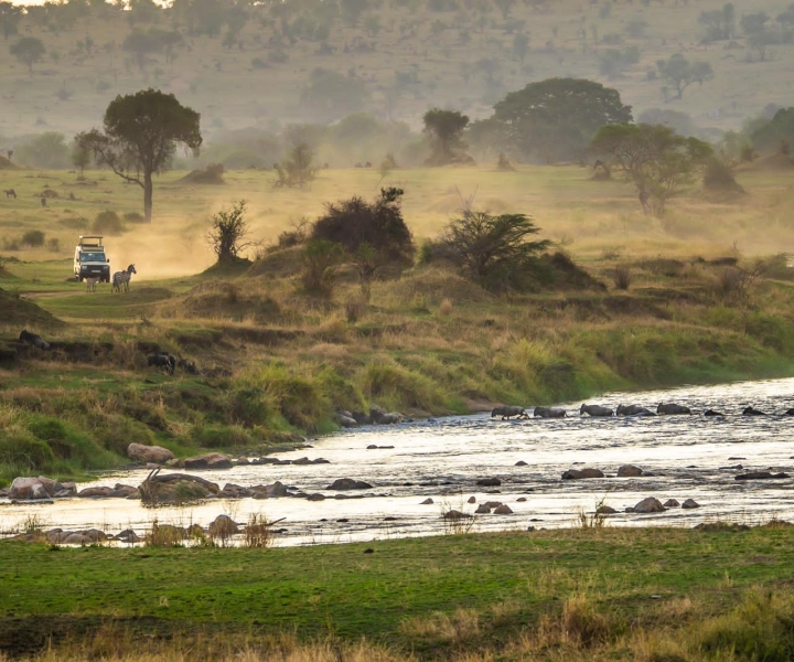 1-Day Ngorongoro Crater Special Tour