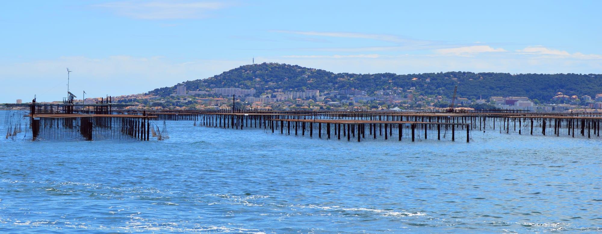 Bootsfahrt in den Kanälen ist auf dem Thau-Teich