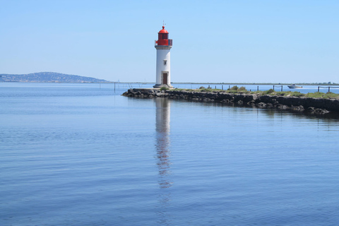 Balade en bateau dans les canaux est sur l'étang de ThauOption standard