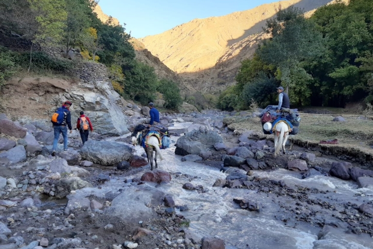Jednodniowa wycieczka do berberyjskich wiosek i przejażdżka na wielbłądach