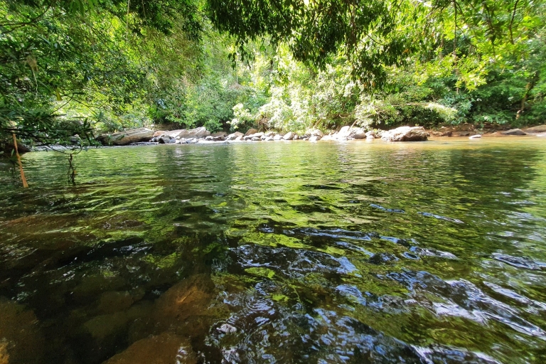 Rafting en el agua-Vida salvaje Colombio
