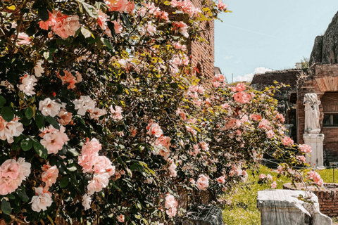 Roma: Colosseo, Foro Romano e Palatino 10 pax