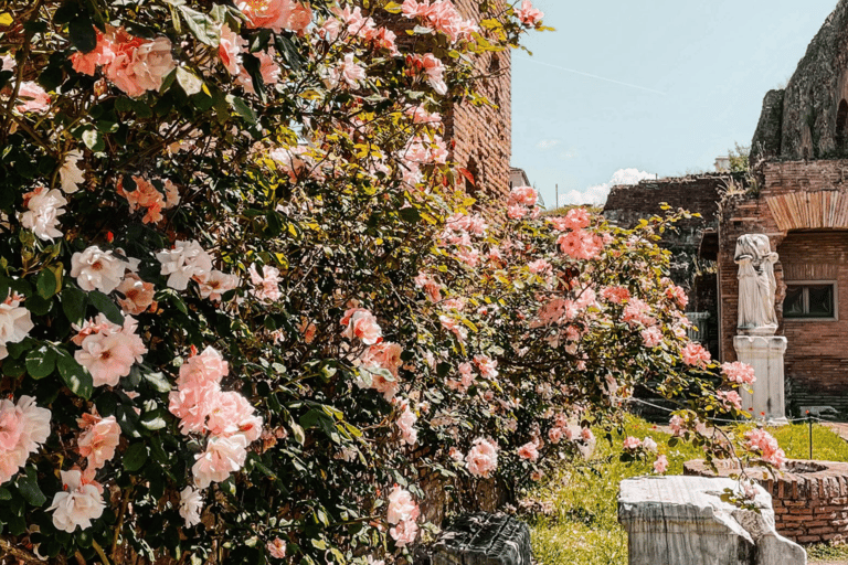 Roma: Colosseo, Foro Romano e Palatino 10 pax