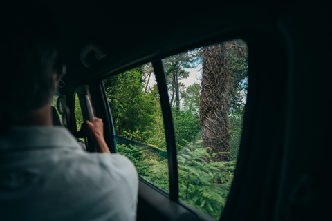 Kotor: Jeep Tour do Gornji Stoliv z muzeum i degustacją żywności