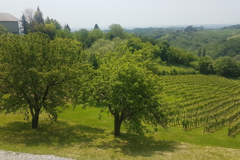 Wycieczka po winach i jedzeniu w Plešivicy niedaleko Zagrzebia