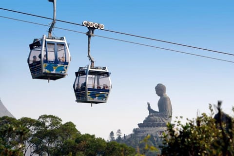 Hong Kong : Croisière commentée pour les dauphins, Big Buddha et visite de l'île de Lantau