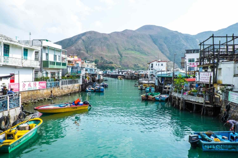 Hong Kong : Croisière pour les dauphins, Big Buddha et visite de l'île de Lantau