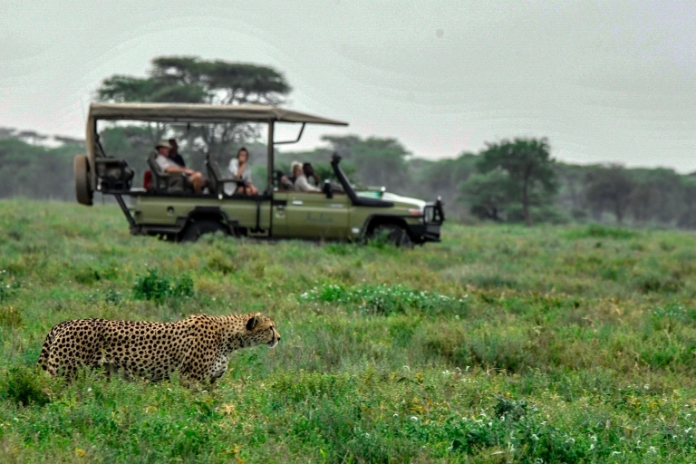Ein Vorgeschmack auf die Savanna-Safari (Add-on Tansania)