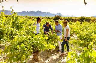 Madrid: Halbtagestour durch die Weinregion