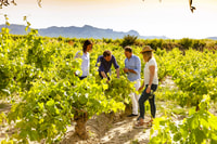 Madrid, tour della regione vinicola di mezza giornata - Hizvo