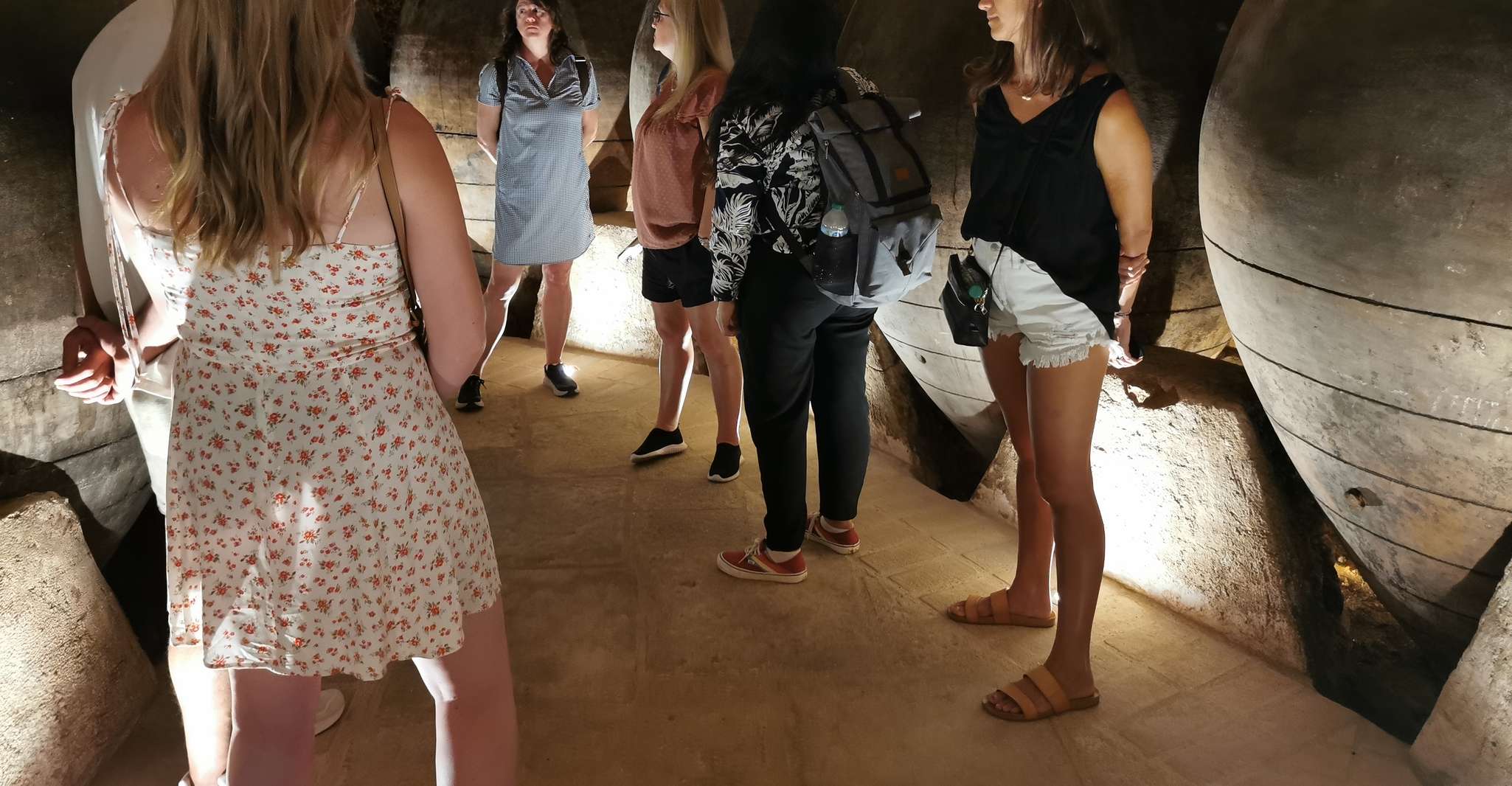 Madrid, tour de medio día por la región vinícola - Hizvo