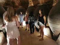 Madrid, tour della regione vinicola di mezza giornata - Hizvo
