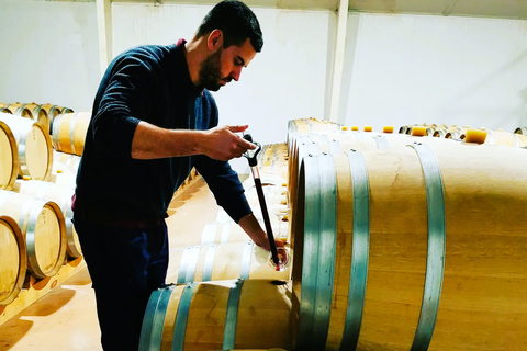 马德里：半日葡萄酒产区之旅