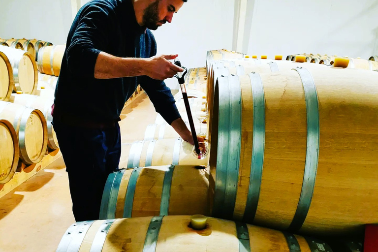 马德里：半日葡萄酒产区之旅