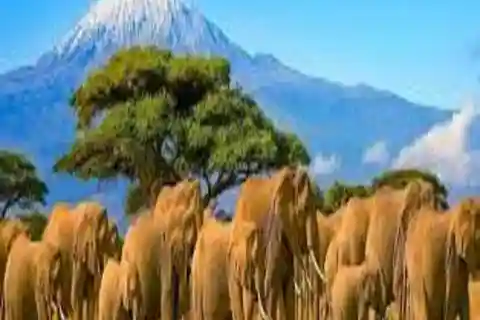 Incrível Safari de 2 dias na Tanzânia: Tarangire e Lago Manyara