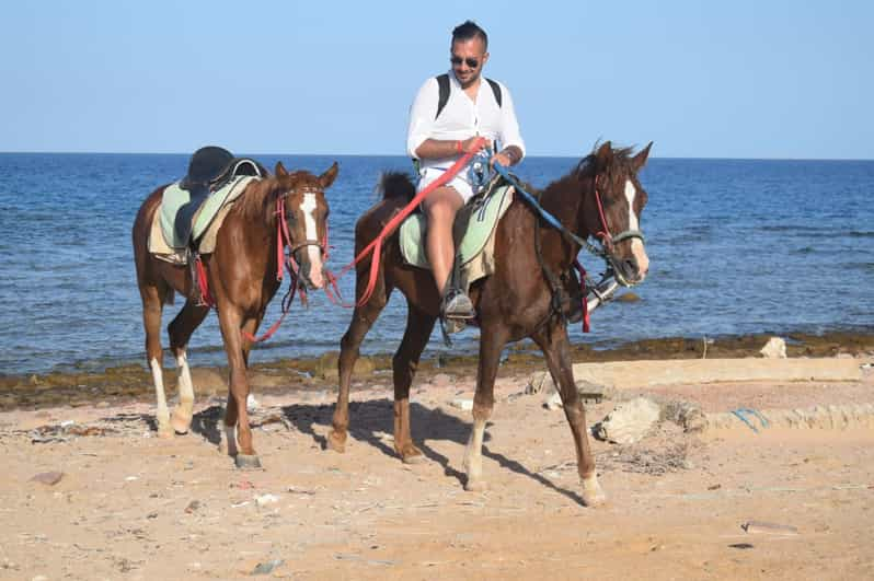 Sharm El Sheikh: Nabq Bay Beach Horse Riding Adventure 