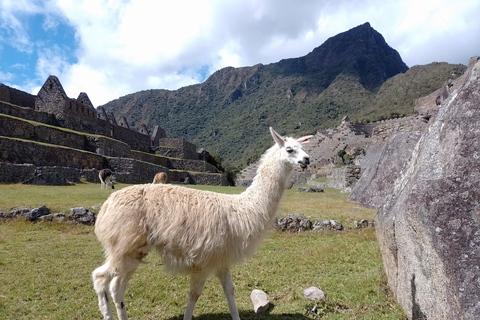 Het Peru van de Andes