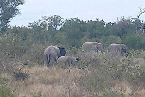 2 dagen Kruger National Park