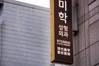 Séoul, Gangnam Tour sur la jeunesse et la société en Corée du Sud - Hizvo
