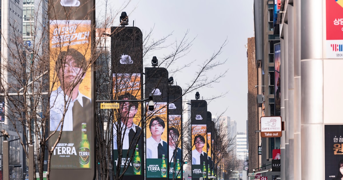 Seoul: Gangnam Tour om ungdomar och samhälle i Sydkorea | GetYourGuide