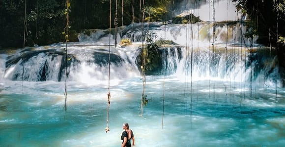 Ys Falls and Appleton Estate Private Tour