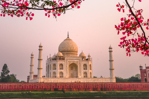 From New Delhi: Agra Highlights Private Day Trip by Train