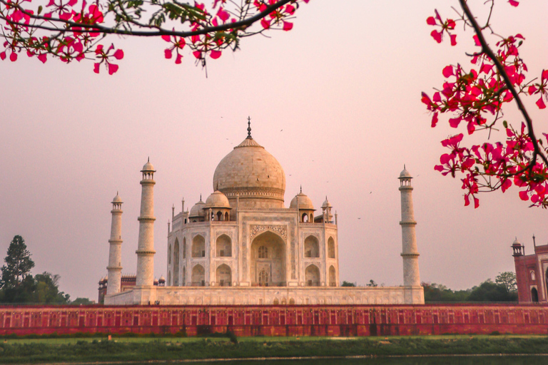 From New Delhi: Agra Highlights Private Day Trip by Train