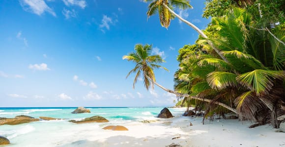 Victoria: Seychelles Mahe Island Tour