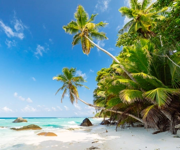 Victoria: Seychelles Mahe Island Tour