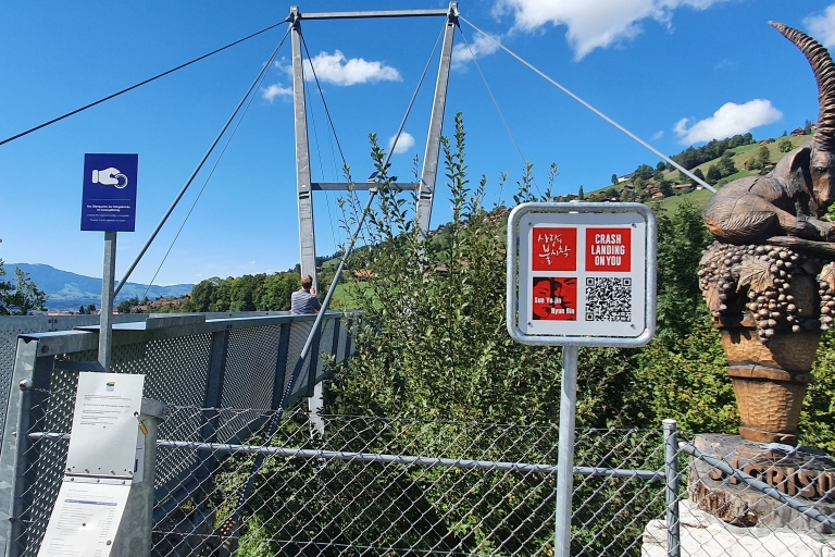 Vanuit Zürich: noodlanding op uw locatie/gebied Interlaken