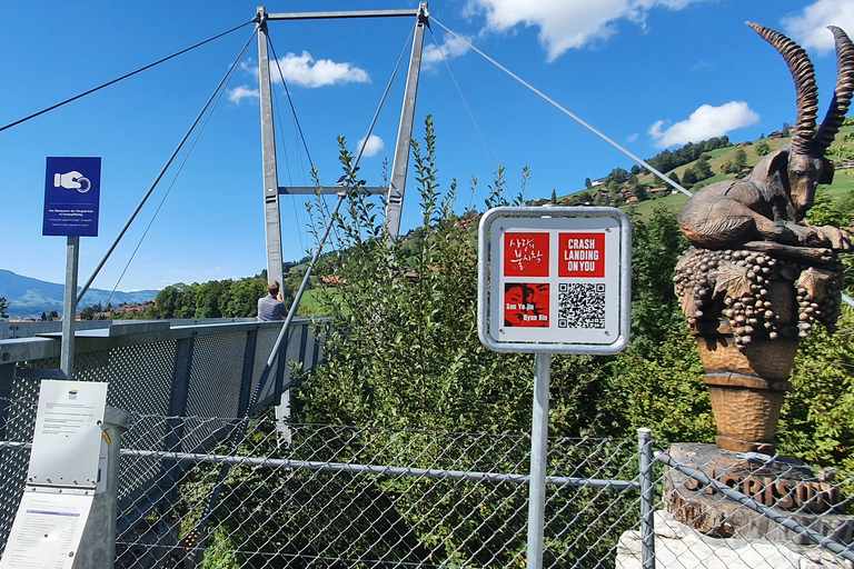 Desde Zúrich: Aterrizaje forzoso en tus localizaciones/Zona de Interlaken