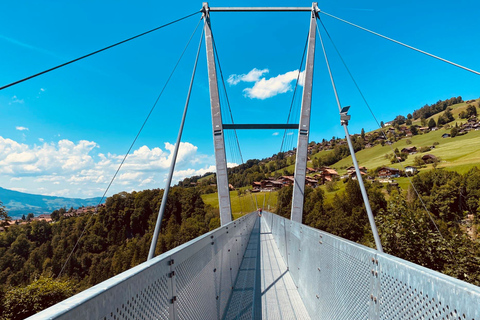 Desde Zúrich: Aterrizaje forzoso en tus localizaciones/Zona de Interlaken