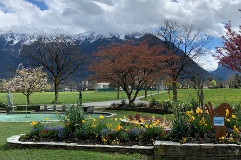 Vanuit Zürich: noodlanding op uw locatie/gebied Interlaken