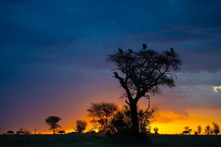5 días para vivir la belleza de Tanzania en un lodge de lujo