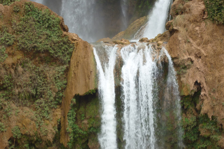 Agadir or Taghazout: Ouzoud Waterfalls Tour and Boat Trip