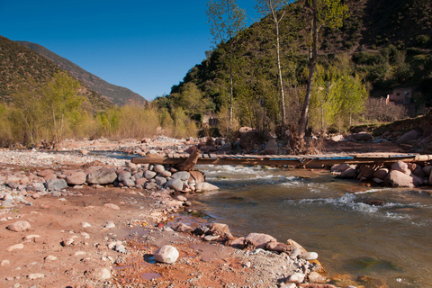 Agadir or Taghazout: Ourika Valley Day Trip