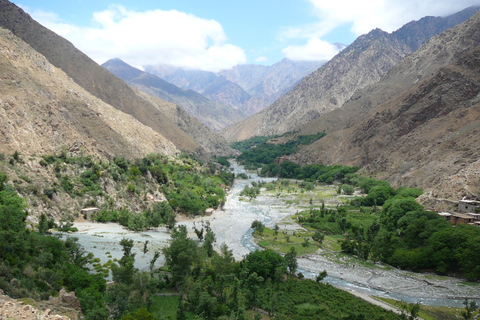 Agadir or Taghazout: Ourika Valley Day Trip