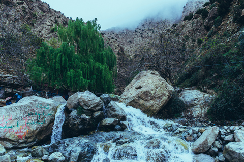 Agadir or Taghazout: Ourika Valley Day Trip