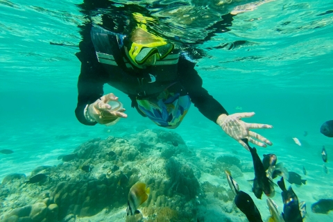 Exotic Escape Island : Pink Beach and Snorkeling Daily Tour Exotic Island Escape : Pink Beach and Snorkeling Daily Tour