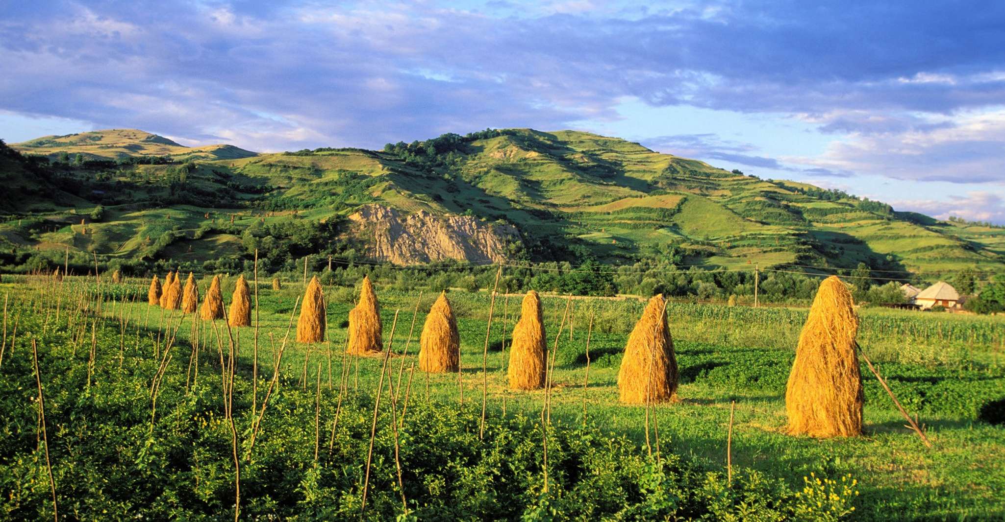 From Sighetu Marmatiei, Maramures and Barsana Monastery Tour - Housity