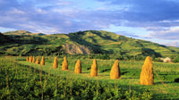 From Sighetu Marmatiei, Maramures and Barsana Monastery Tour - Housity